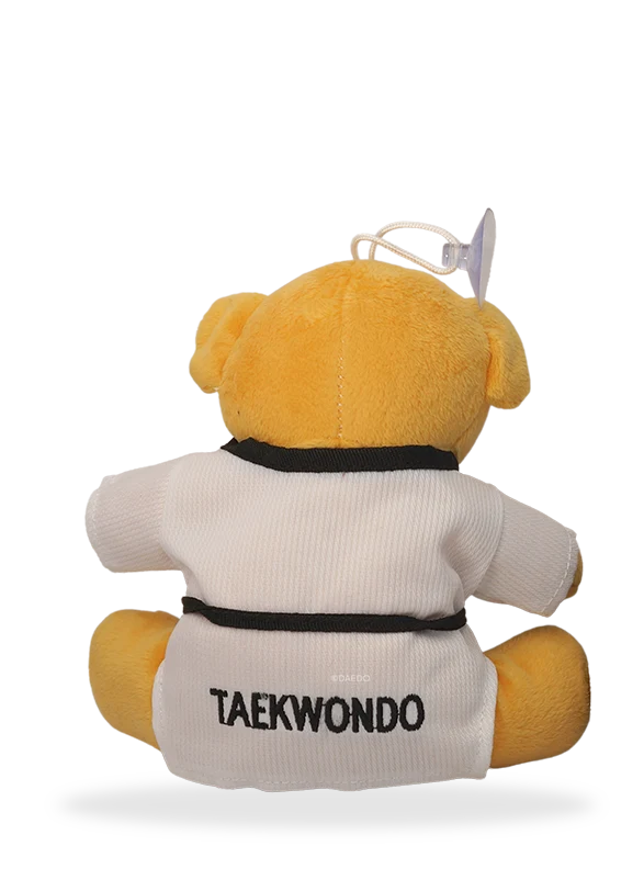 Taekwondo Teddybeer